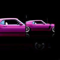 Mustang Boss 302