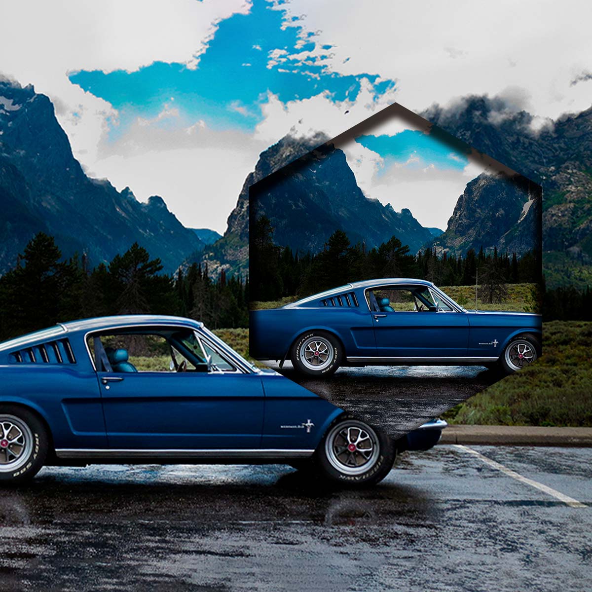 Mustang Y Montañas