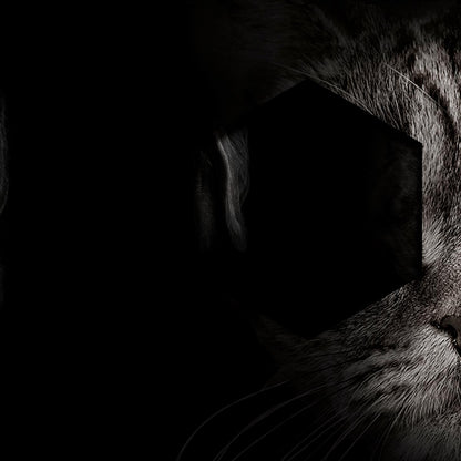Retrato de perro y gato