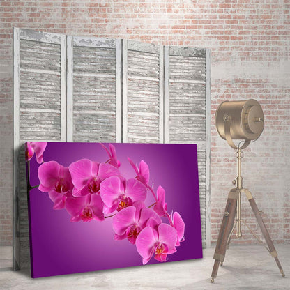 Orquideas Moradas
