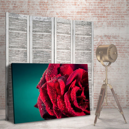 Rosa Roja con Gotas