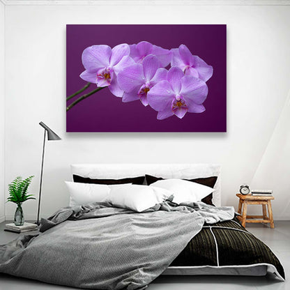 Orquideas Purpura