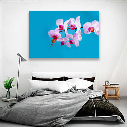Orquideas Rosas
