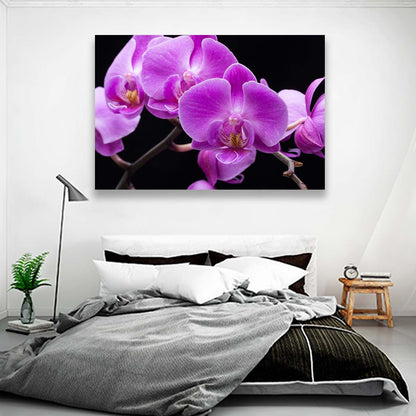 Orquideas Violeta