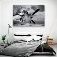 Mustang P51 Antiguo