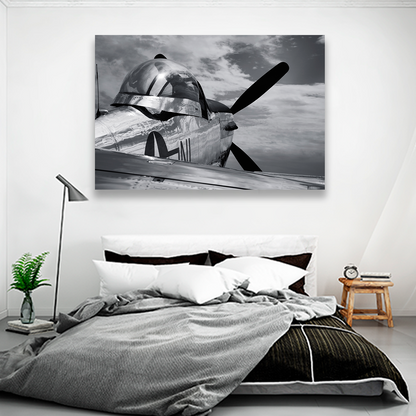 Mustang P51 Antiguo