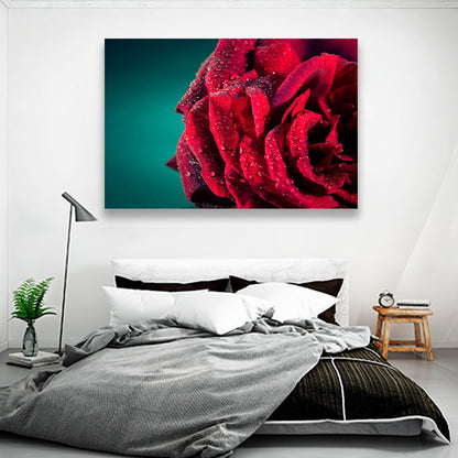 Rosa Roja con Gotas