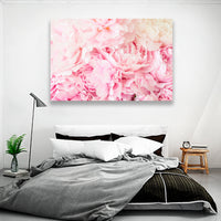 Cama de Peonias Rosas