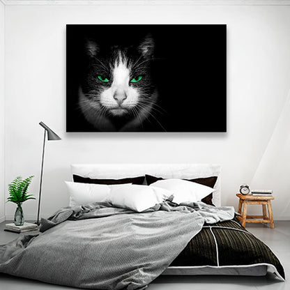 Gato con ojos verdes