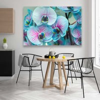 Orquídeas Azules claro
