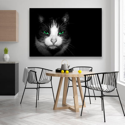 Gato con ojos verdes