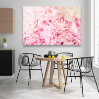 Cama de Peonias Rosas