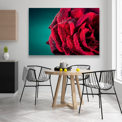 Rosa Roja con Gotas