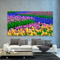 Flores En El Campo