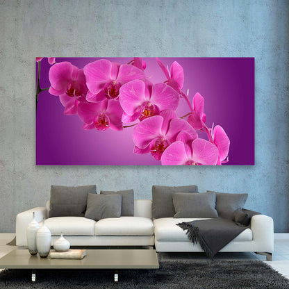 Orquideas Moradas
