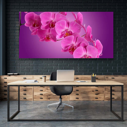 Orquideas Moradas