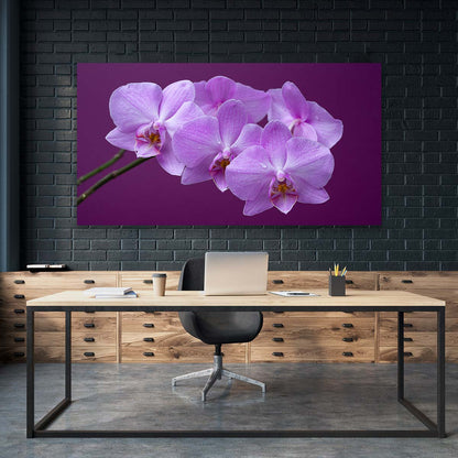 Orquideas Purpura
