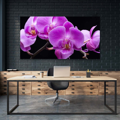 Orquideas Violeta