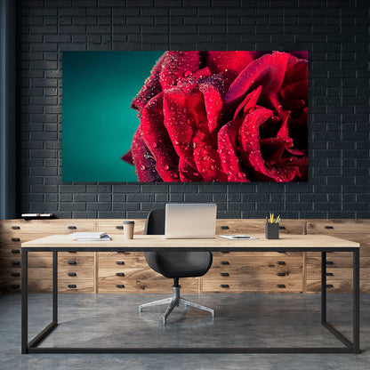 Rosa Roja con Gotas