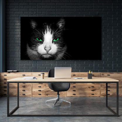 Gato con ojos verdes