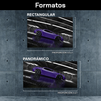 Deportivo Moderno Purpura