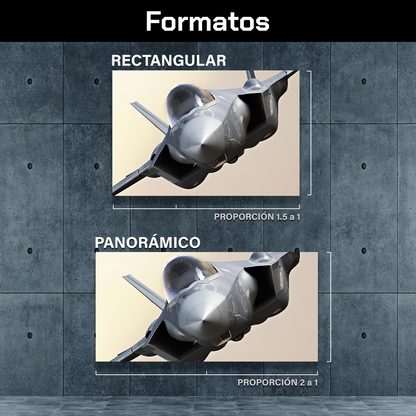 Jet F35 Gris Volando
