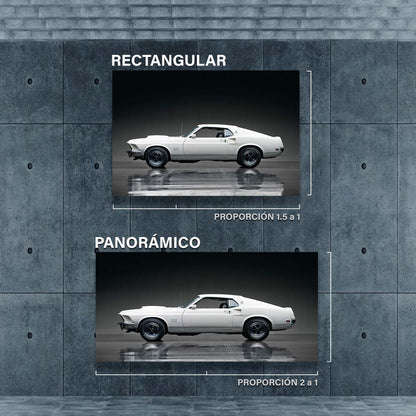 Mustang 429