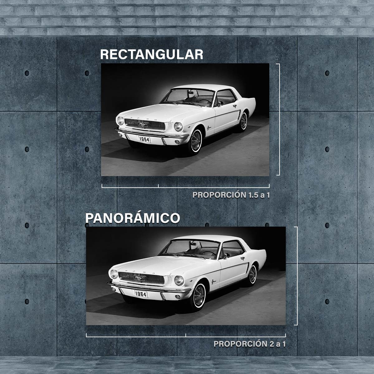 Mustang 64 Blanco