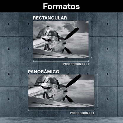 Mustang P51 Antiguo
