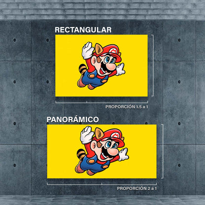 Super Mario Mapache