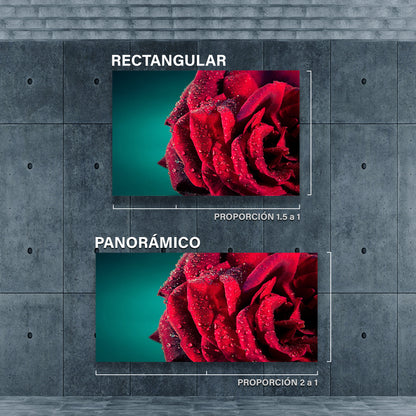 Rosa Roja con Gotas