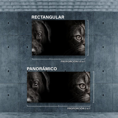 Retrato de perro y gato