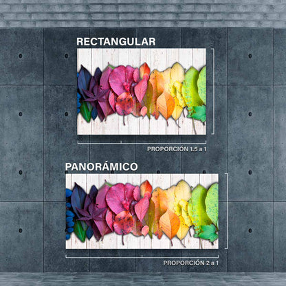 Hojas De Colores FB