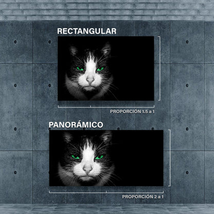 Gato con ojos verdes