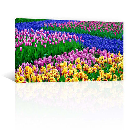 Flores En El Campo