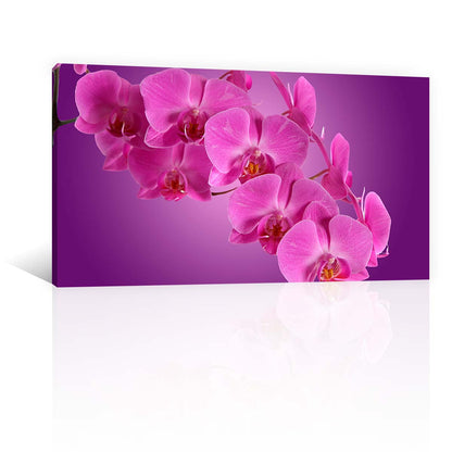 Orquideas Moradas