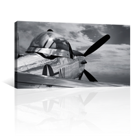Mustang P51 Antiguo
