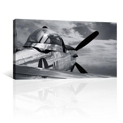 Mustang P51 Antiguo