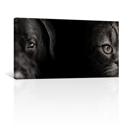 Retrato de perro y gato