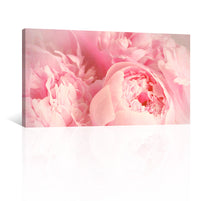 Peonias Rosas
