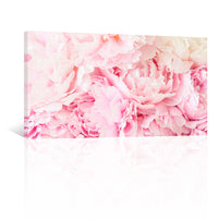 Cama de Peonias Rosas