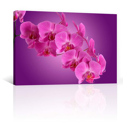 Orquideas Moradas
