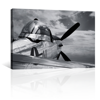 Mustang P51 Antiguo
