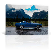 Mustang Y Montañas