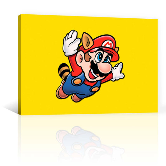 Super Mario Mapache