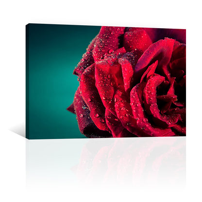 Rosa Roja con Gotas