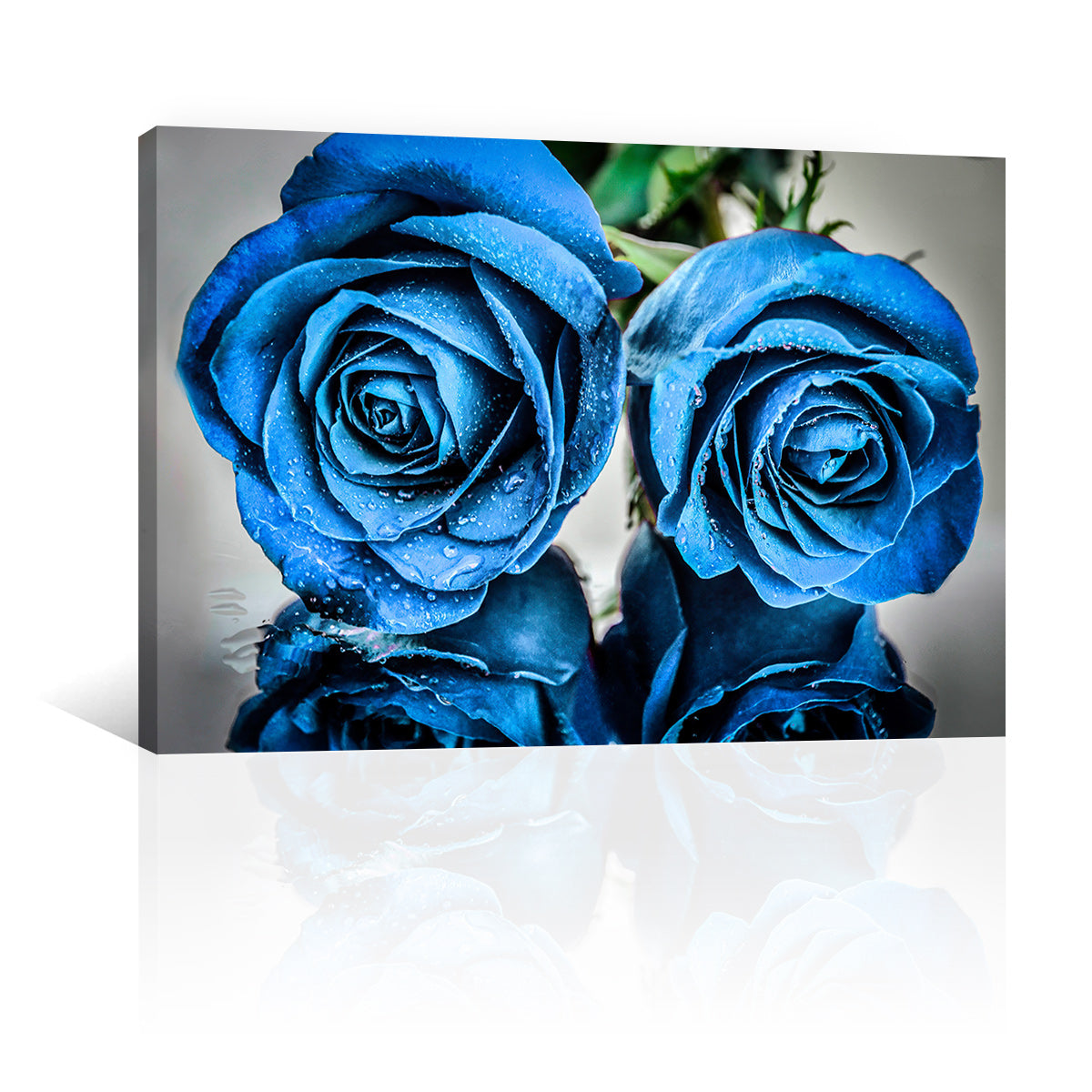 Rosas Azules con Gotas
