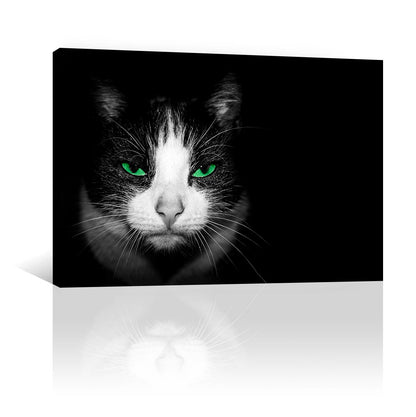 Gato con ojos verdes