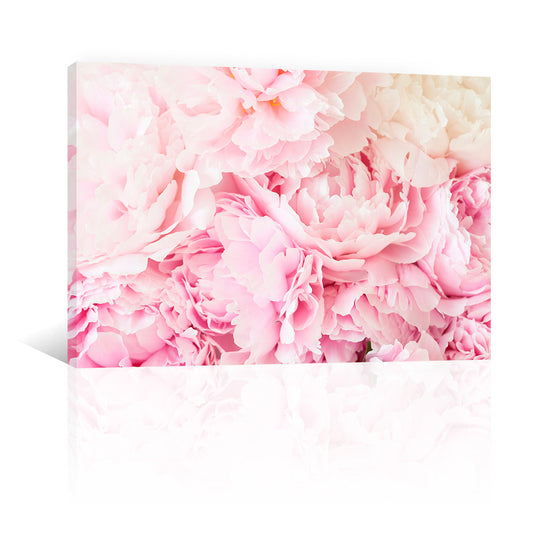 Cama de Peonias Rosas