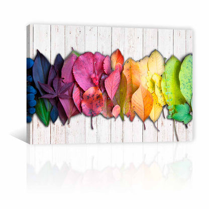 Hojas De Colores FB